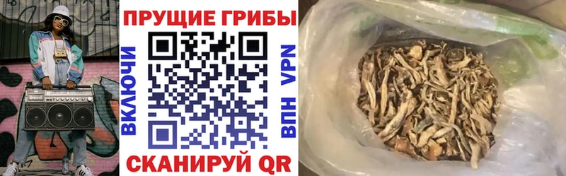 Псилоцибиновые грибы Cubensis  Соль-Илецк 